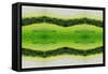 Unnatural 2.1-Giovanni Cafagna-Framed Stretched Canvas