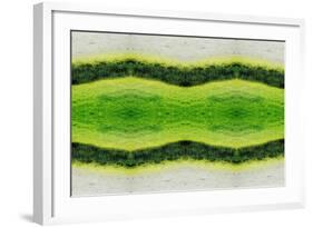 Unnatural 2.1-Giovanni Cafagna-Framed Giclee Print