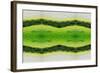 Unnatural 2.1-Giovanni Cafagna-Framed Giclee Print