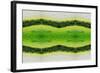 Unnatural 2.1-Giovanni Cafagna-Framed Giclee Print