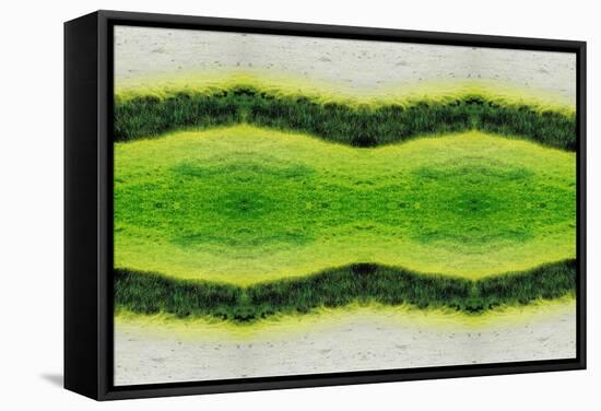 Unnatural 2.1-Giovanni Cafagna-Framed Stretched Canvas