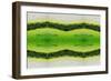 Unnatural 2.1-Giovanni Cafagna-Framed Giclee Print