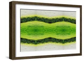 Unnatural 2.1-Giovanni Cafagna-Framed Giclee Print