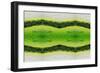 Unnatural 2.1-Giovanni Cafagna-Framed Giclee Print