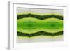 Unnatural 2.1-Giovanni Cafagna-Framed Giclee Print