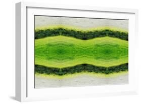 Unnatural 2.1-Giovanni Cafagna-Framed Giclee Print