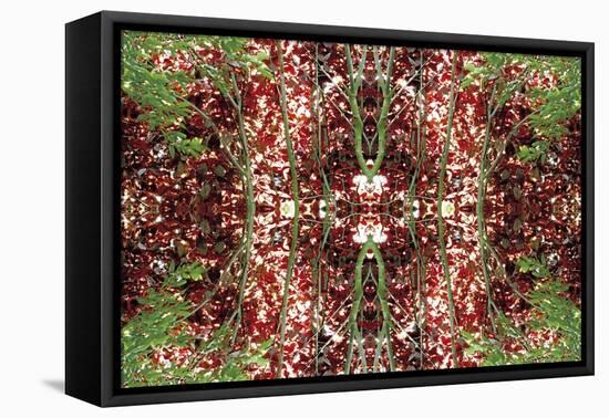 Unnatural 23-Giovanni Cafagna-Framed Stretched Canvas