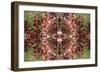 Unnatural 23-Giovanni Cafagna-Framed Premium Giclee Print