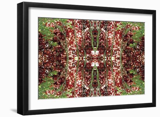 Unnatural 23-Giovanni Cafagna-Framed Premium Giclee Print