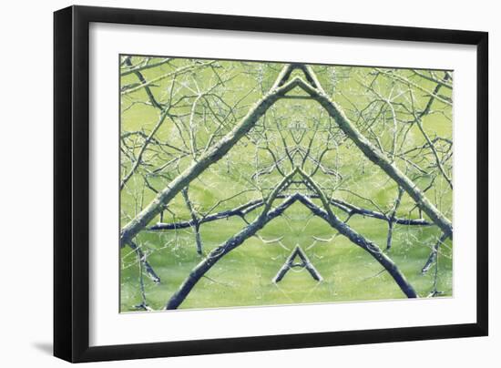 Unnatural 30-Giovanni Cafagna-Framed Giclee Print