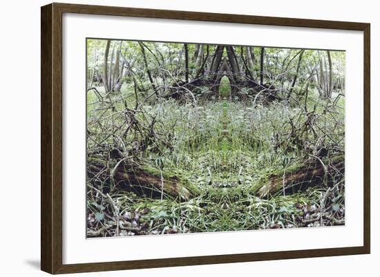 Unnatural 33-Giovanni Cafagna-Framed Giclee Print