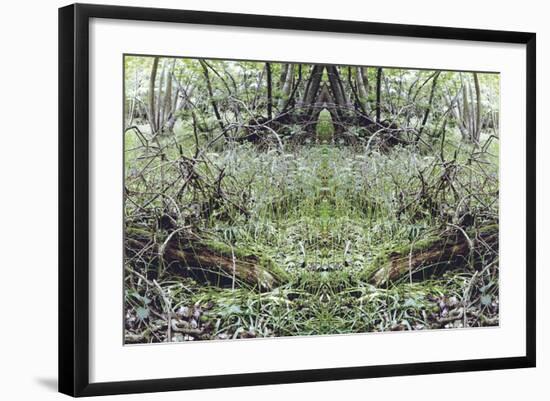 Unnatural 33-Giovanni Cafagna-Framed Giclee Print