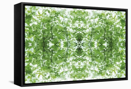 Unnatural 34-Giovanni Cafagna-Framed Stretched Canvas