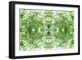 Unnatural 34-Giovanni Cafagna-Framed Giclee Print