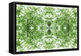 Unnatural 34-Giovanni Cafagna-Framed Stretched Canvas