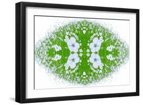 Unnatural 37-Giovanni Cafagna-Framed Giclee Print