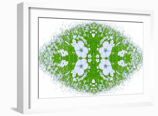 Unnatural 37-Giovanni Cafagna-Framed Giclee Print