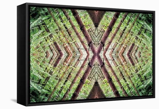 Unnatural 37-Giovanni Cafagna-Framed Stretched Canvas