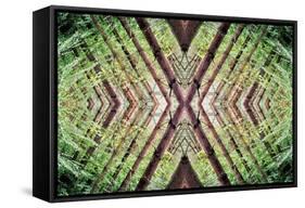 Unnatural 37-Giovanni Cafagna-Framed Stretched Canvas