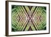 Unnatural 37-Giovanni Cafagna-Framed Giclee Print