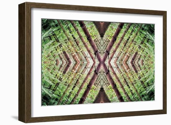 Unnatural 37-Giovanni Cafagna-Framed Giclee Print