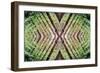 Unnatural 37-Giovanni Cafagna-Framed Giclee Print