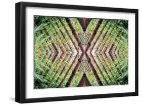 Unnatural 37-Giovanni Cafagna-Framed Giclee Print