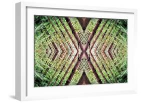 Unnatural 37-Giovanni Cafagna-Framed Giclee Print