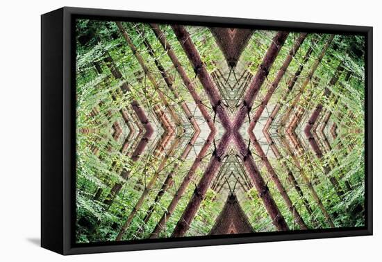 Unnatural 37-Giovanni Cafagna-Framed Stretched Canvas