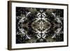 Unnatural 37-Giovanni Cafagna-Framed Giclee Print