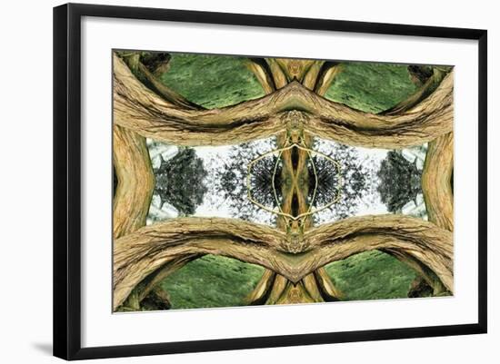 Unnatural 37-Giovanni Cafagna-Framed Giclee Print