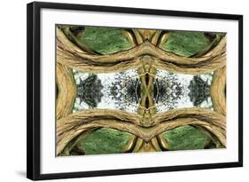 Unnatural 37-Giovanni Cafagna-Framed Giclee Print