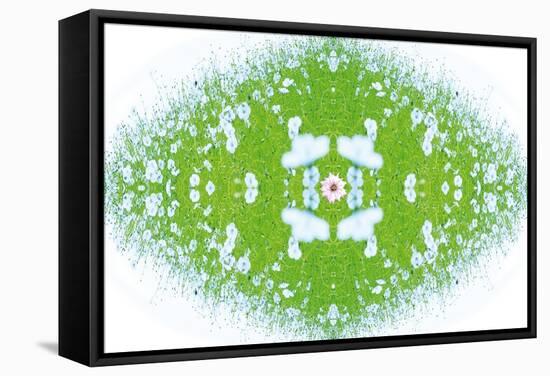 Unnatural 37-Giovanni Cafagna-Framed Stretched Canvas