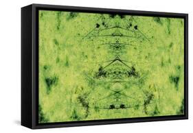 Unnatural 3-Giovanni Cafagna-Framed Stretched Canvas