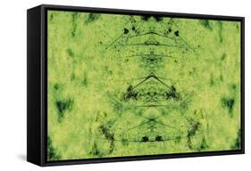 Unnatural 3-Giovanni Cafagna-Framed Stretched Canvas