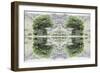 Unnatural 40-Giovanni Cafagna-Framed Giclee Print