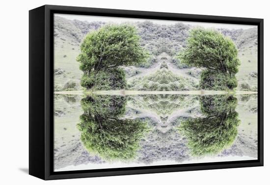 Unnatural 40-Giovanni Cafagna-Framed Stretched Canvas