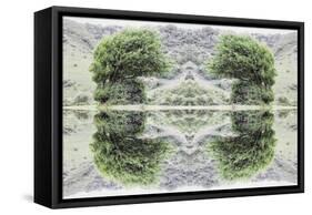 Unnatural 40-Giovanni Cafagna-Framed Stretched Canvas