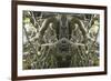 Unnatural 41-Giovanni Cafagna-Framed Giclee Print