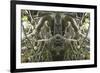 Unnatural 41-Giovanni Cafagna-Framed Giclee Print