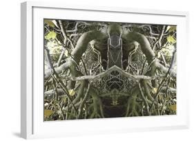 Unnatural 41-Giovanni Cafagna-Framed Giclee Print