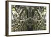 Unnatural 41-Giovanni Cafagna-Framed Giclee Print