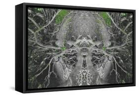 Unnatural 42-Giovanni Cafagna-Framed Stretched Canvas