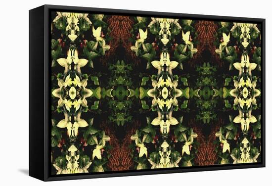 Unnatural 43-Giovanni Cafagna-Framed Stretched Canvas