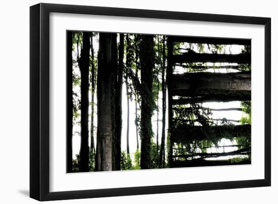 Unnatural 55-Giovanni Cafagna-Framed Giclee Print