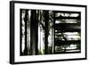 Unnatural 55-Giovanni Cafagna-Framed Giclee Print