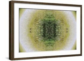 Unnatural 6.1-Giovanni Cafagna-Framed Giclee Print