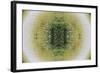 Unnatural 6.1-Giovanni Cafagna-Framed Giclee Print