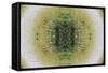 Unnatural 6.1-Giovanni Cafagna-Framed Stretched Canvas