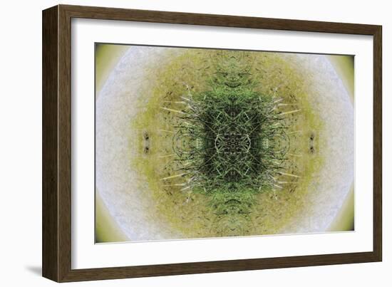 Unnatural 6.1-Giovanni Cafagna-Framed Giclee Print